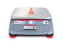 Electronic Scale