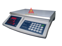 Electronic Scale