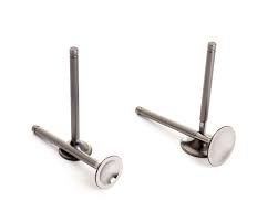 Inlet Valve