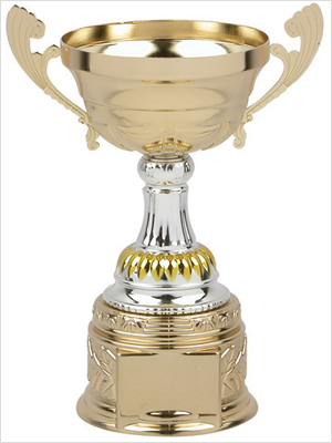 Metal cup