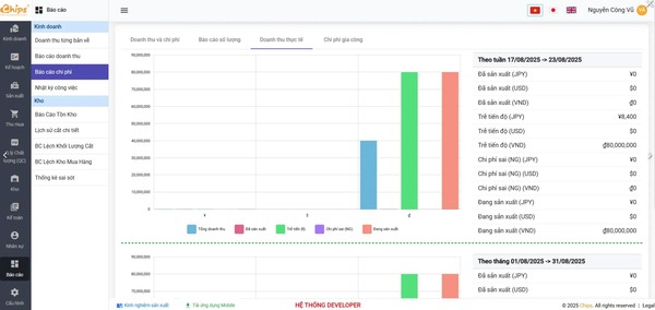 Cost reporting ERP