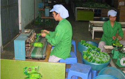 Factory