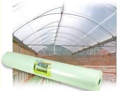 Greenhouse Film