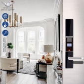 Dessmann S710FP fingerprint lock