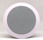 Electronic speaker