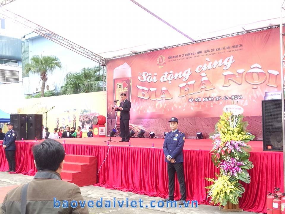 Festival security service