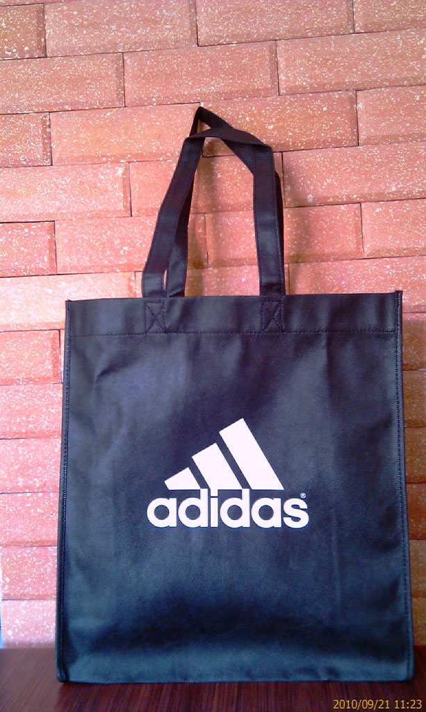 Shoes bags