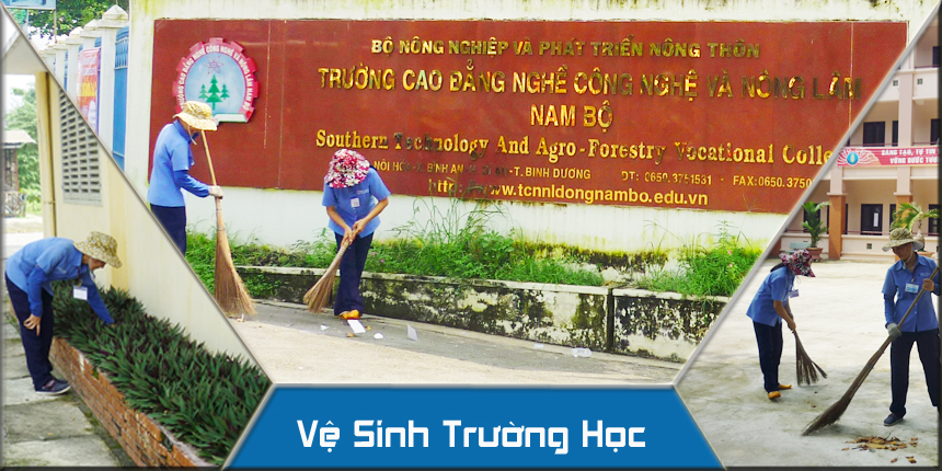School cleaning service
