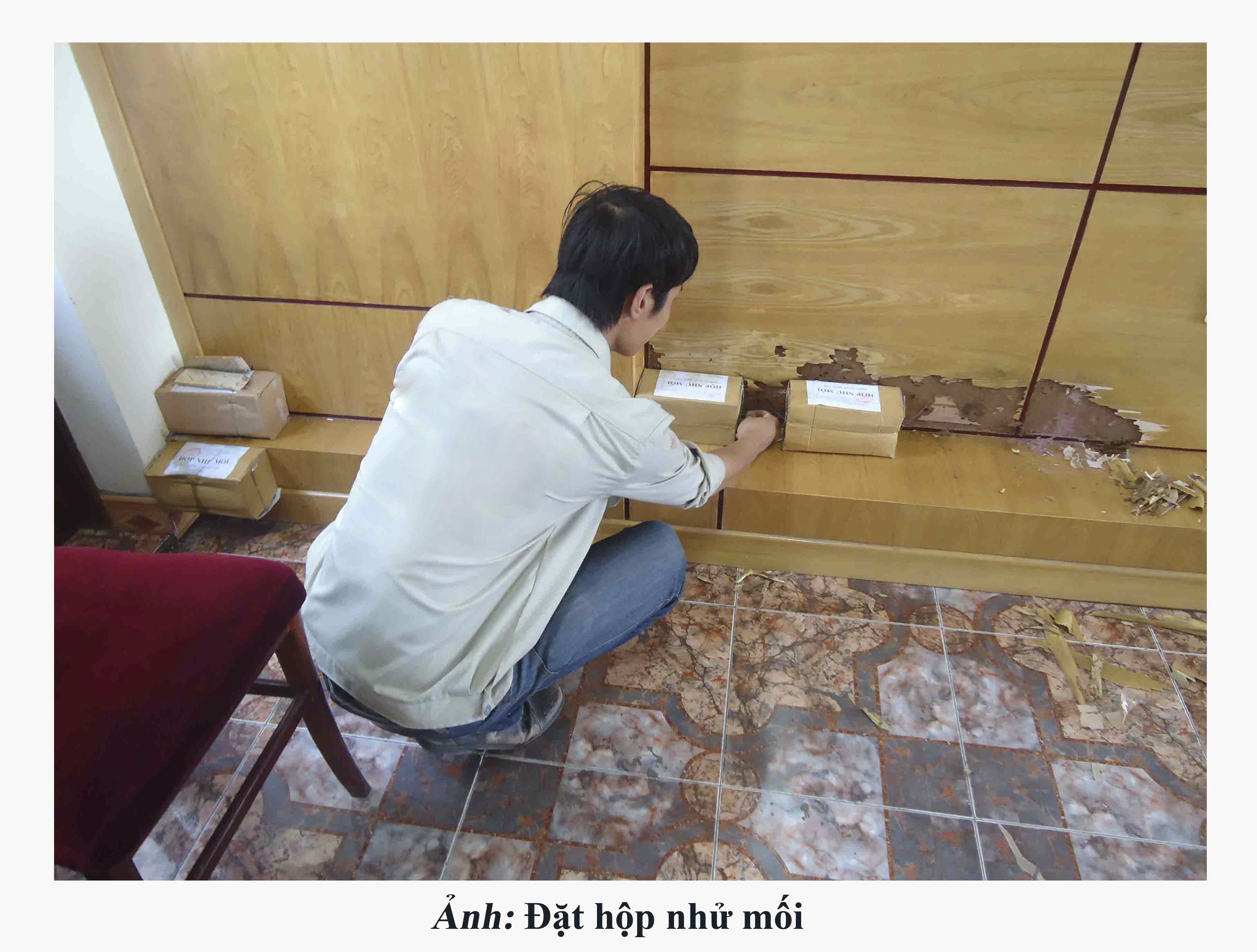 Pest control service