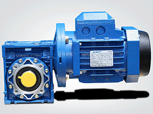 NMRV Speed-reducer motor