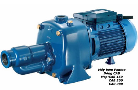 Pentax (CAB) water pump