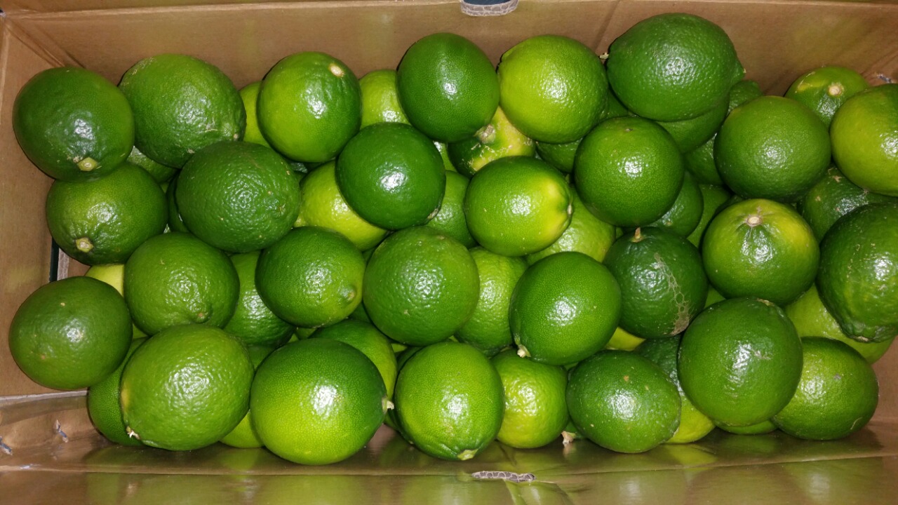Fresh lime