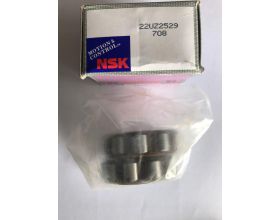 Eccentric Bearing