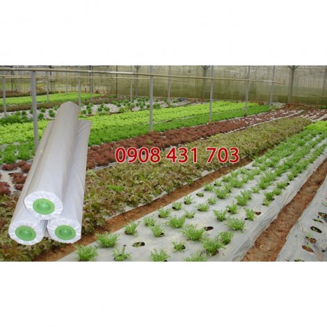 Agricultural film