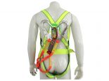 Safety harness