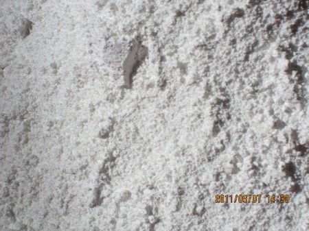 Light calcium carbonate powder