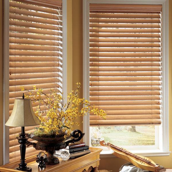 Vertical blinds