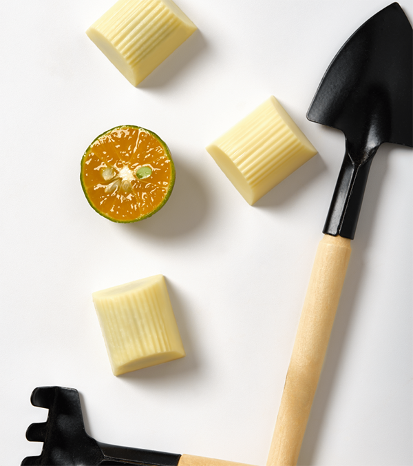 Kumquat chocolate