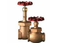 Copper Globe valve