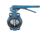SAMWOO Butterfly valve