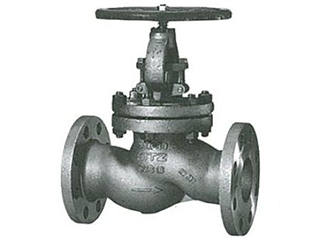 Stainless steel Globe valve
