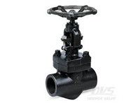 Steel Globe valve
