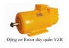 Electric motor