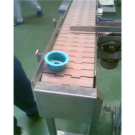 Chain conveyors