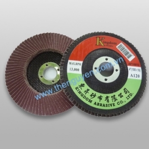 Kingdom AF100 flap disc