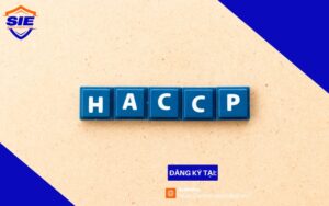 HACCP Internal Auditor Training Course