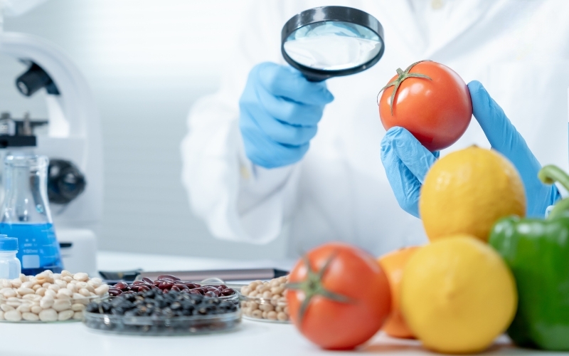 HACCP Management System Training Course
