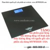 Elite Weight scale