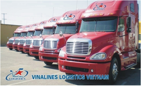 Auto Transport Team