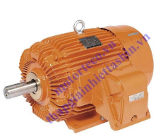 Electric motor