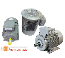 Electric motor