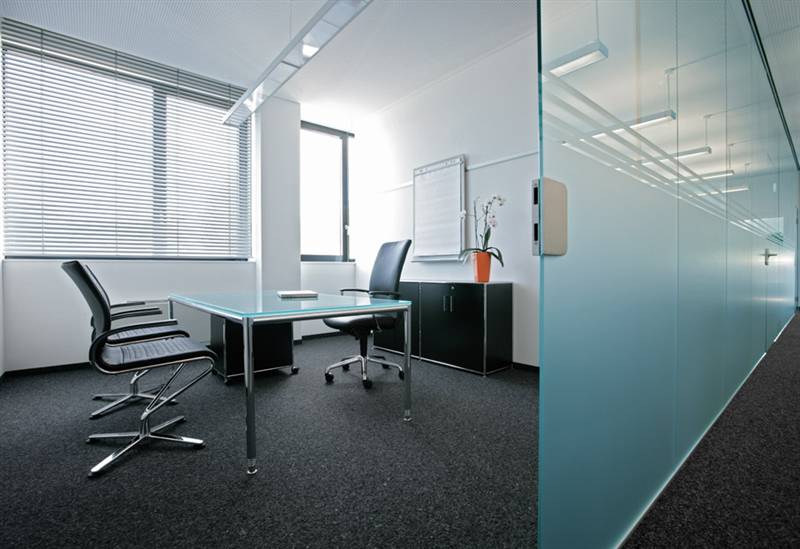 Glass partition