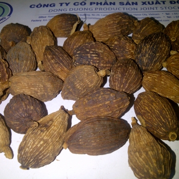 Black cardamom