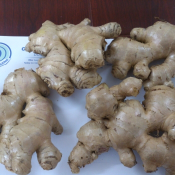 Fresh ginger