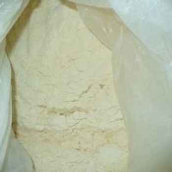 Garlic powder