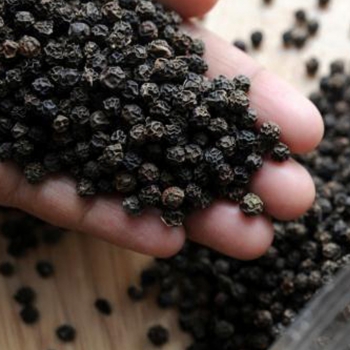 Black pepper 500G/L