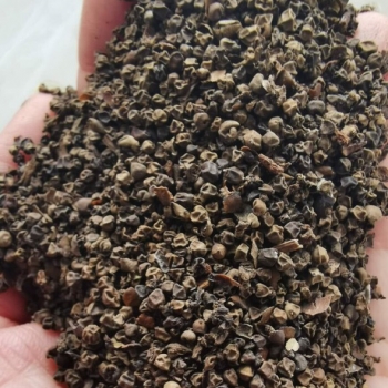 Pin head black pepper