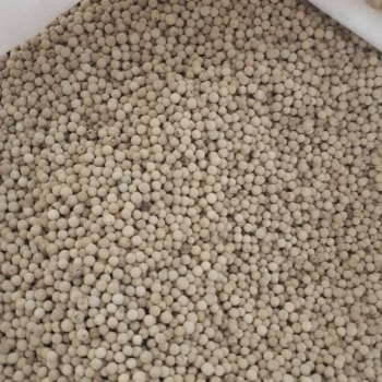 White pepper