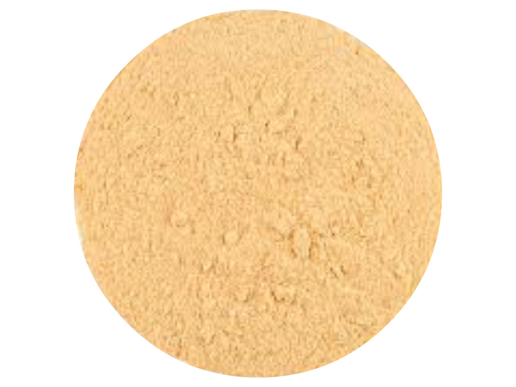 Garlic powder