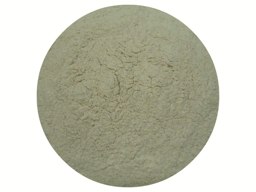Onion powder