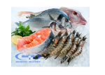 Fresh seafood