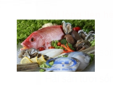 Fresh seafood