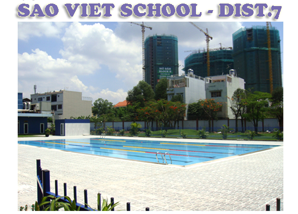 SAO VIET SCHOOL