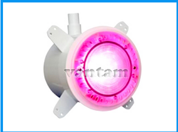 Pool light