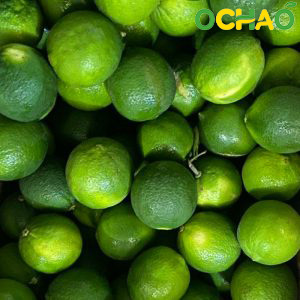 Fresh Lime