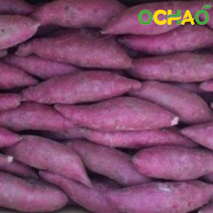 Fresh Purple Sweet Potato